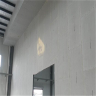 2021新型建筑材料掺多种工业废渣的ALC|ACC|FPS模块板材轻质隔墙板